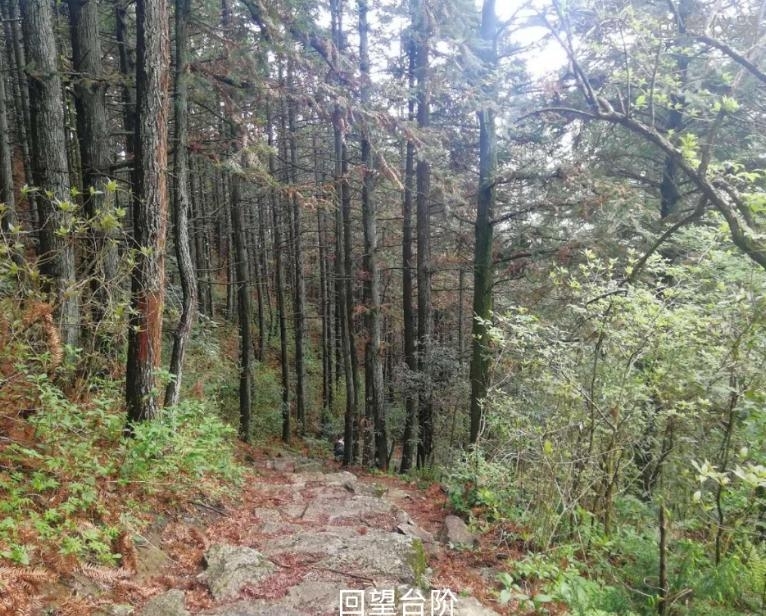 武功山攻略 武功山攻略