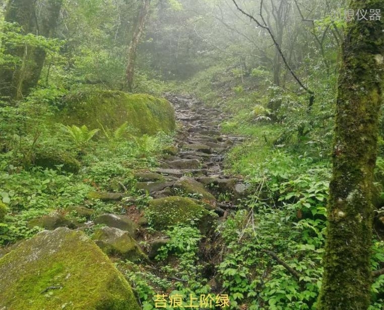 武功山攻略 武功山攻略