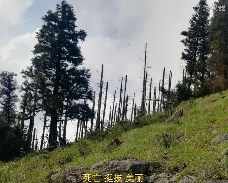 武功山攻略 武功山攻略