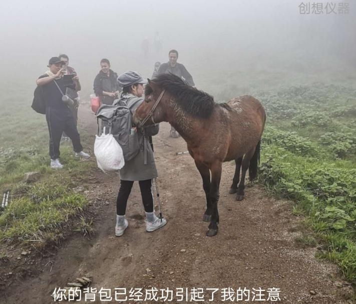 武功山的馬 武功山的馬